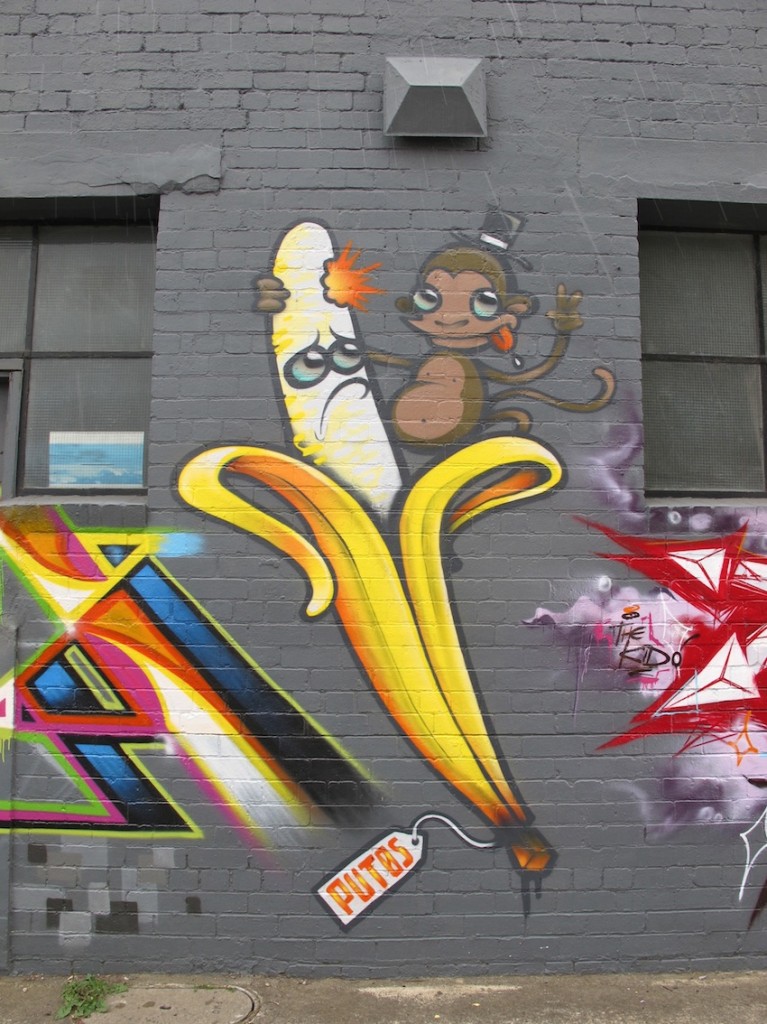 deansunshine_landofsunshine_melbourne_streetart_graffiti_ brunswick new wall 6