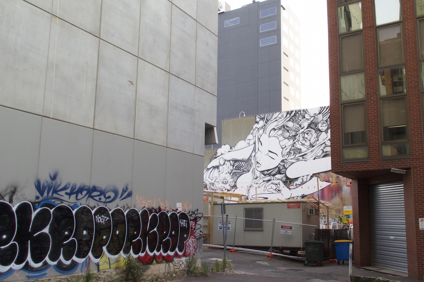deansunshine_landofsunshine_melbourne_streetart_graffiti_ sofles going large melb 4