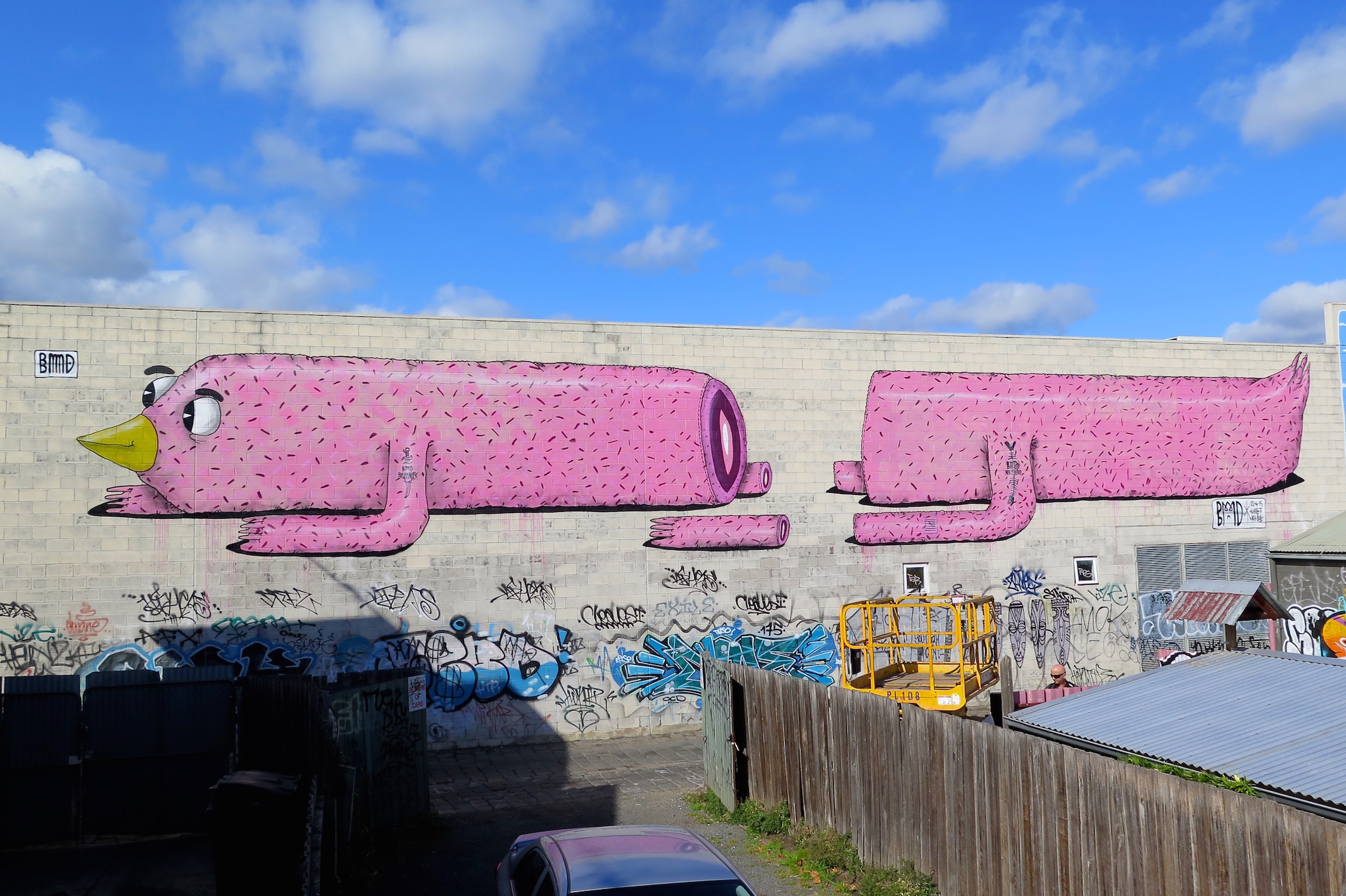 deansunshine_landofsunshine_melbourne_streetart_graffiti_BMD does Brunswick 2