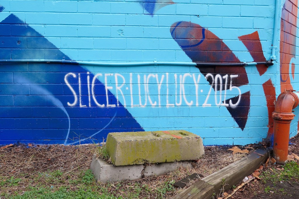 deansunshine_landofsunshine_melbourne_streetart_graffiti_lucy lucy slicer 2015 8