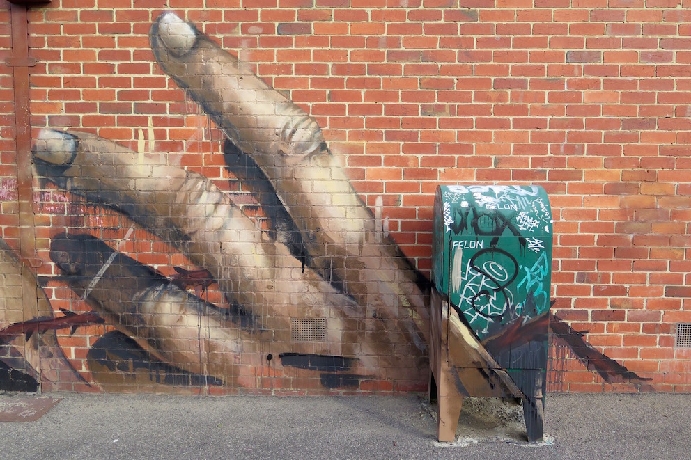 deansunshine_landofsunshine_melbourne_streetart_graffiti_Camscale thornbury mural 4