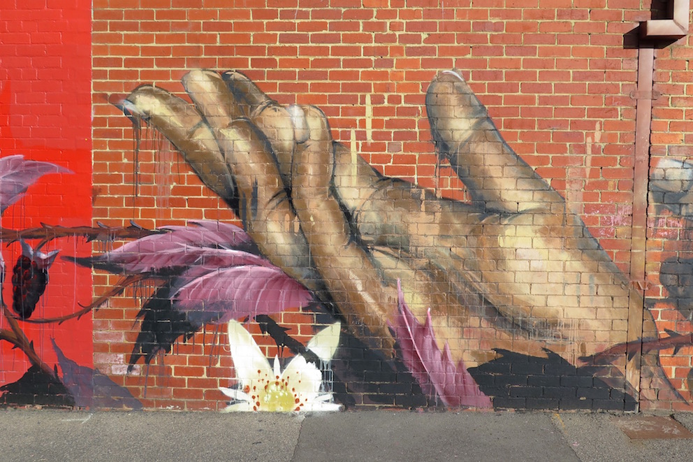 deansunshine_landofsunshine_melbourne_streetart_graffiti_Camscale thornbury mural 5