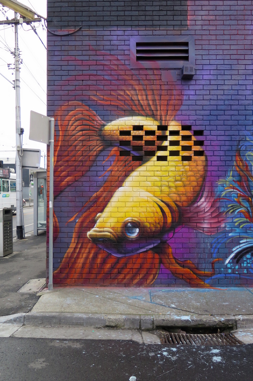 deansunshine_landofsunshine_melbourne_streetart_graffiti_fishy richmond 2